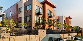 The CC Apartments Gallery 25