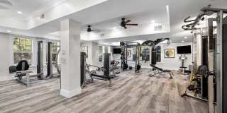 THE MARLOWE LAKE BOONE Gallery 19