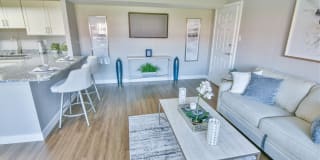 Verona at District Gallery 8