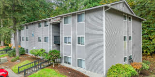 Village Fair Gallery 24