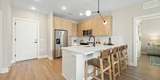 The Scottie Gallery 3