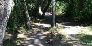 8718 Bay Court Gallery 16