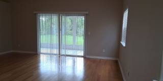 3413 Jasmine Trace Lane Gallery 40
