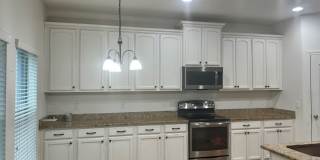 4/3/2 HOME IN EDINA GARDEN OF EDEN Gallery 10