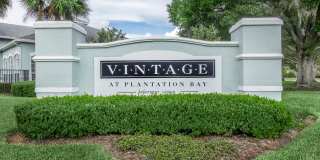 Vintage at Plantation Bay Gallery 31