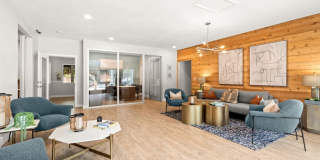 Avana Chestnut Hill Gallery 39
