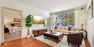 Andante at Nine Mile Station Gallery 18