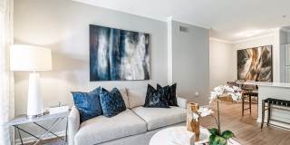 Oasis at Piney Point Gallery 24