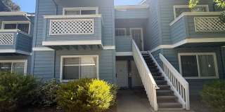 Sharp and Clean 1 Bedroom 1 Bath Condo in North San Jose Gallery 1