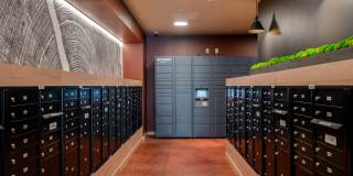 Rivenwood Gallery 22