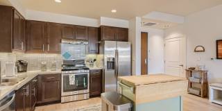 Modern 1 BDR in Peloton - Ground Floor - Full Accessible Gallery 14