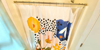 156 Park/Myrtle Street Gallery 12