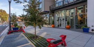 The Shay Gallery 25