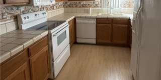 19248 Palm Gallery 3