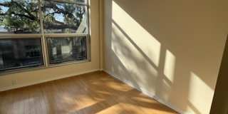 2514 Abercorn Street, Unit 207 Gallery 1