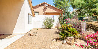 11146 North Desert Flower Drive Gallery 12