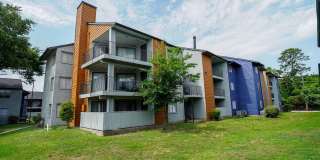 Trenton Place Gallery 16