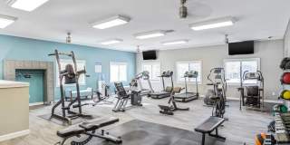 Shoal Creek Gallery 14