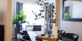 IMT Cherry Creek Gallery 25