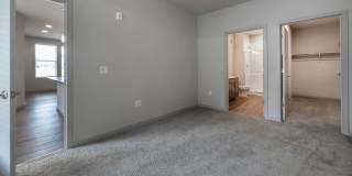 Savanna Nine Mile Gallery 68