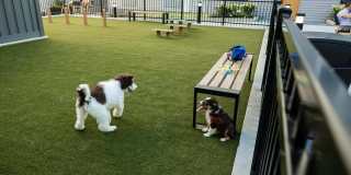 The Standard Gallery 11