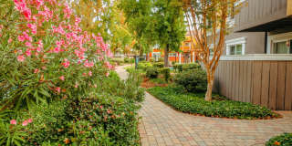 Peppertree Apartments Gallery 52