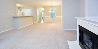 Lakeshore Grande Gallery 4