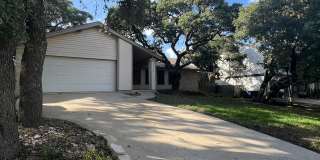 9123 Alpine Trail Street Gallery 3