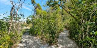 ALL THE CHARM! - Siesta Key 1+ acre on the Bay - 3 bed/ 2 bath pool home Gallery 51