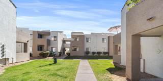 Desert Springs Gallery 12