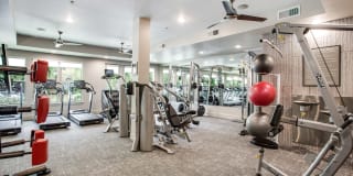 Windsor West Lemmon Gallery 27