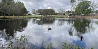 522 Peach Grove Place Gallery 33
