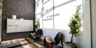 The Pines Gallery 12
