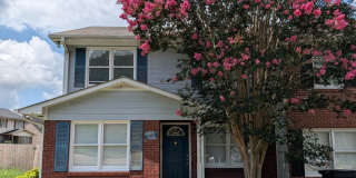 Renovated 3BR with Large Fenced Yard and Lots of Light Gallery 1