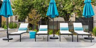 Carrington Square Gallery 4