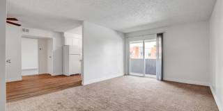 Sundance Village Gallery 45