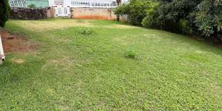 3 Bedroom 2 Bath Single Family Home with Pool Gallery 19