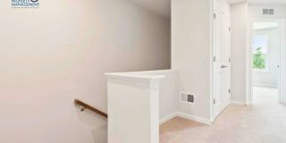 4959 Lexi Ln - 1 Gallery 25