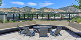 The Citizen Gallery 8