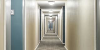 Willoway Apartments Gallery 14