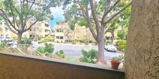 5025 Los Morros Way Gallery 28