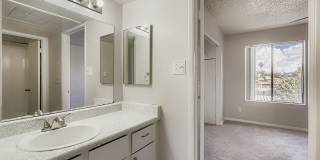 Rise on Cactus Gallery 79