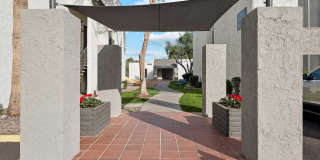 San Merida Gallery 5