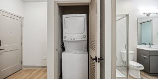 The Falstaff Gallery 6