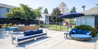 Avana Evergreen Gallery 48