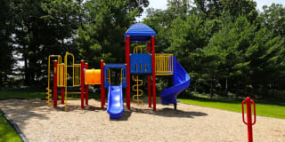 Cub Hill Apartments Gallery 18