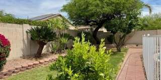 7798 E Buteo Drive Gallery 12