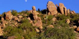 33094 N 74TH Place Gallery 51