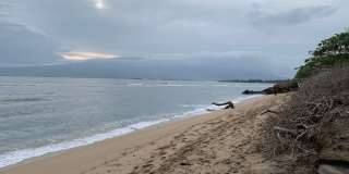 Oceanviews Private 1 bed / 1 bath sep. cottage. "INCL ALL utilities + WIFI internet". Furnished. Gallery 22