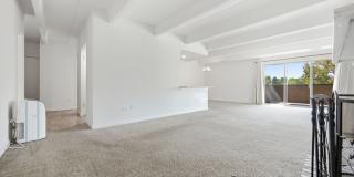 675 S University Blvd #301 Gallery 13